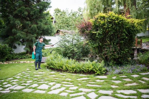 Best Lawn Grading and Leveling  in Mcrae Helena, GA